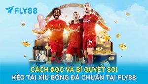 Cách đọc và bí quyết soi kèo tài xỉu bóng đá chuẩn tại FLY88