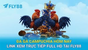 Đá gà Campuchia hôm nay - Link xem trực tiếp full HD tại FLY88