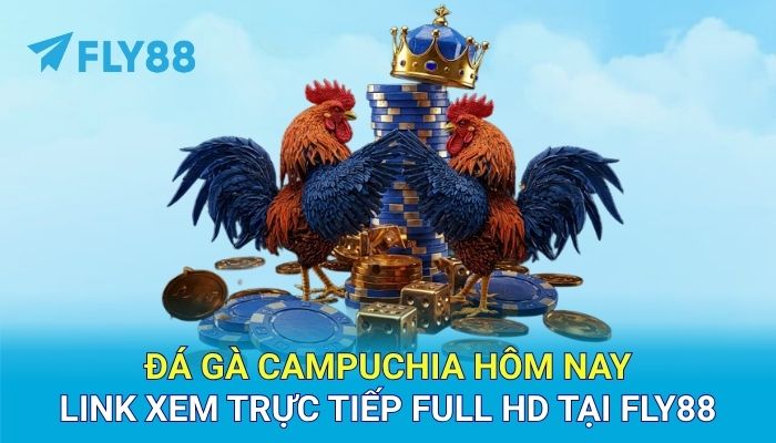 Đá gà Campuchia hôm nay - Link xem trực tiếp full HD tại FLY88