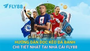 Hướng dẫn đọc kèo đá banh chi tiết nhất tại nhà cái FLY88